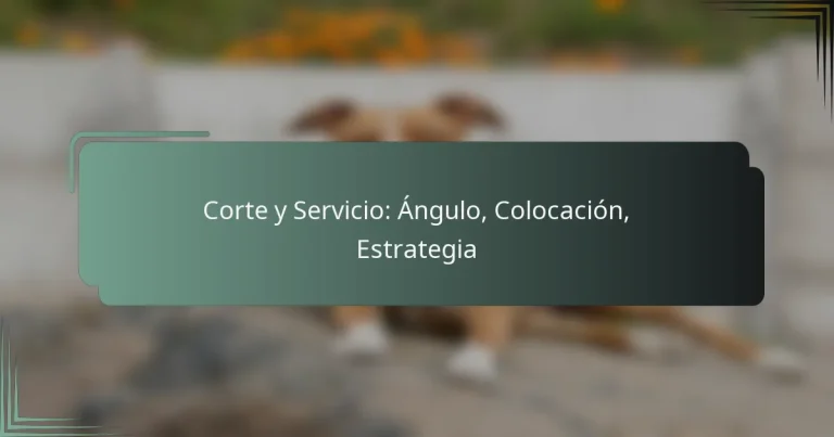 Corte y Servicio: Ángulo, Colocación, Estrategia