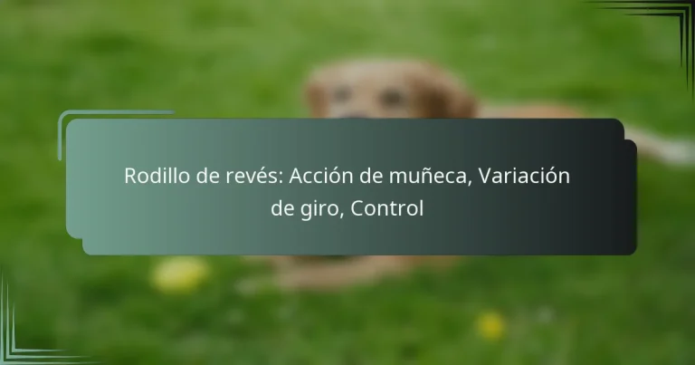 Rodillo de revés: Acción de muñeca, Variación de giro, Control