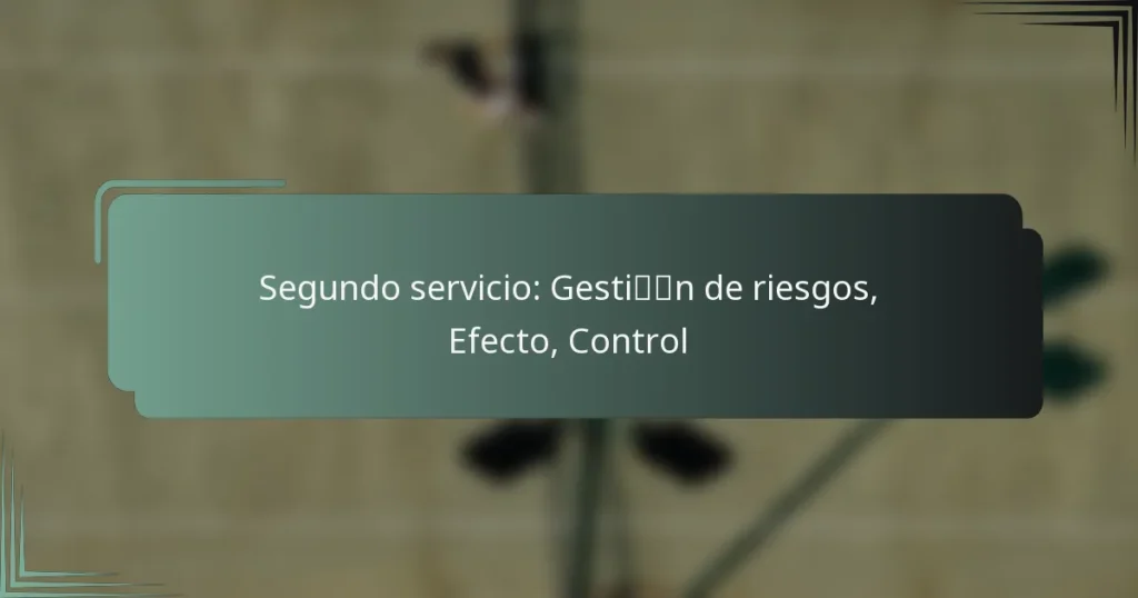 Segundo servicio: Gestión de riesgos, Efecto, Control
